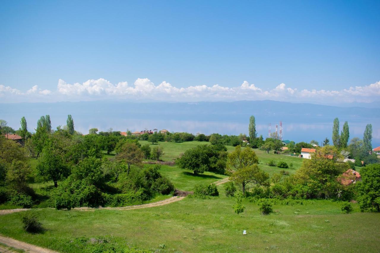 Villa Grkasha Ohrid Buitenkant foto